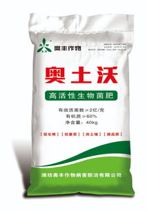 冬天大棚西红柿这样管理,高产不愁