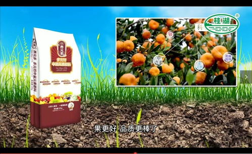 养元多肥料创造营,新品c位出道