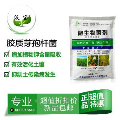胶冻样芽孢杆菌胶质菌有机肥料生物拌种蘸根基肥硅酸盐细菌钾菌株1kg沃宝生物