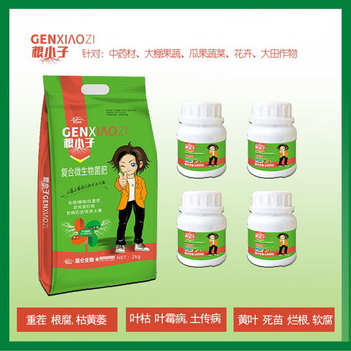【中药材党参壮根膨大,中药材党参壮根灵药,中药材当归壮根膨大】- 