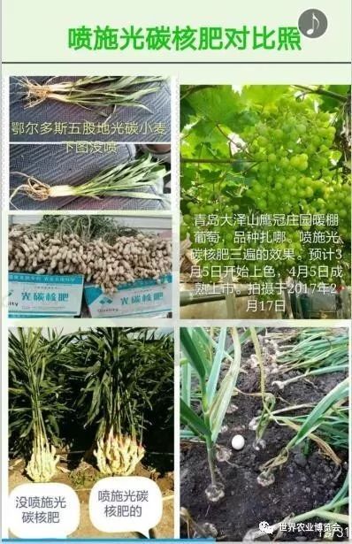 首届黄淮海农资英雄榜揭晓 春秋季农作物高产配套肥料品牌产品上榜名单暨观摩展示 40家