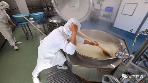 日本的孩子不吃盒饭,来看看日本的食品加工厂,是如何制作中小学生午餐的