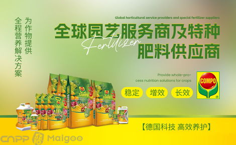 compo品牌介绍