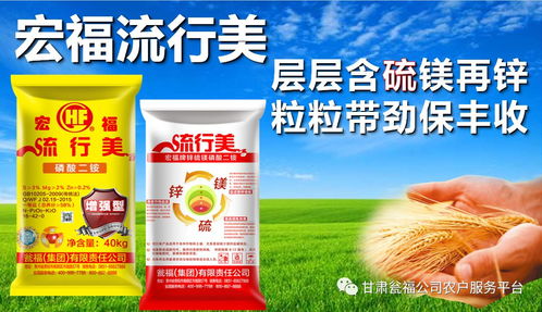瓮福新品 亮相世界肥料大会