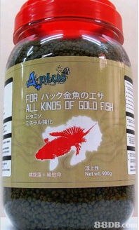 2019年香港饲料价格与商户联络资讯指南