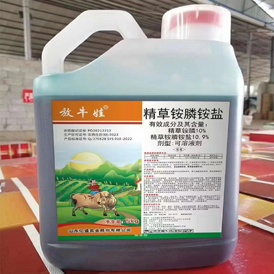 放牛娃的致富路 从牛粪到绿色财富的肥料转型