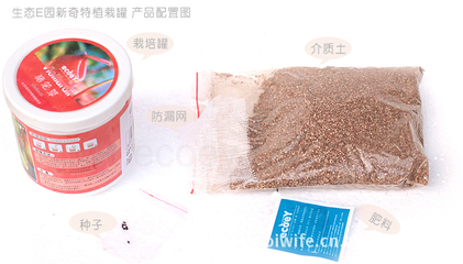 创意礼品 新奇特植栽罐的魅力与市场前景