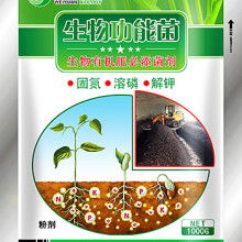 仙庆精品有机肥 助力绿色农业，提升土壤活力