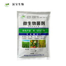 2021年微生物肥料市场行情深度解析 价格、报价与批发渠道探秘