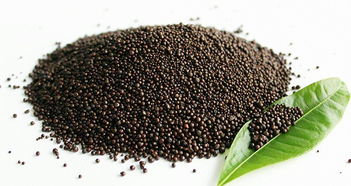 科技赋能农业 肥料技术支持的创新与发展