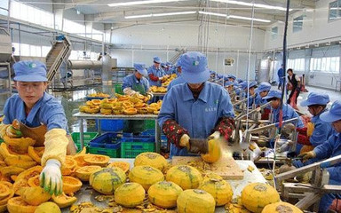 家庭小型有机肥料加工 环保创收新途径